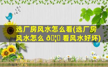 选厂房风水怎么看(选厂房风水怎么 🦁 看风水好坏)